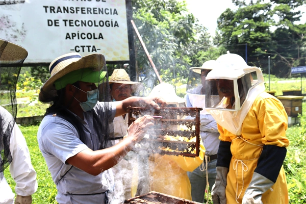 Primera gira de intercambio apícola