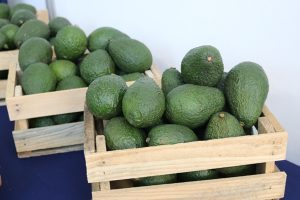 Congreso Nacional de Aguacate