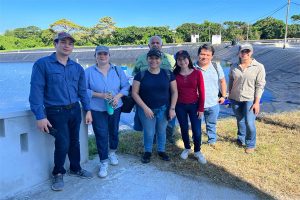 Proyecto Aspire y Agexport