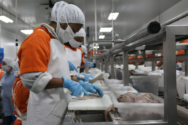Sector de Acuicultura y Pesca de AGEXPORT