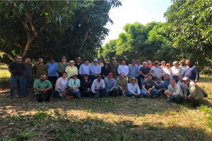 Comité de mango de agexport