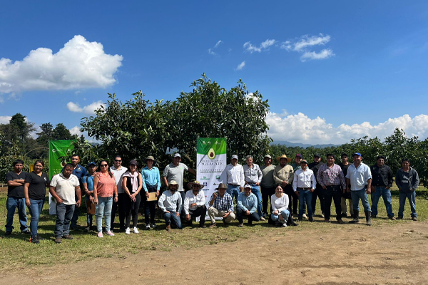 El 2do Congreso Nacional de Aguacate realizó giras  a fincas de Aguacate Hass para dar a conocer el potencial que existe en Guatemala