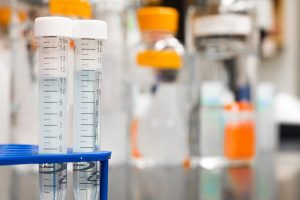 Servicios de los laboratorios y su impacto en la economía exportadora