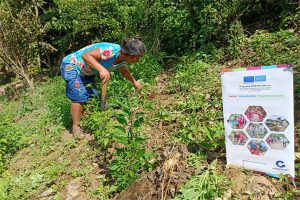 AGEXPORT impulsa la cadena de chile chiltepe en el corredor seco