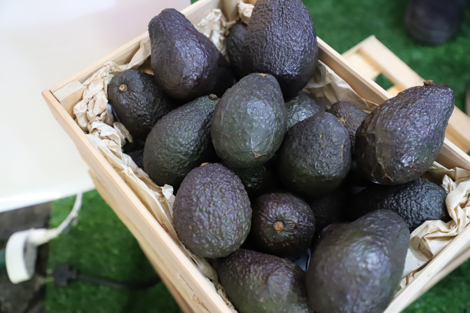 Aguacates nacionales.