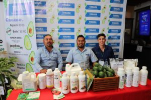 Stand aguacate.