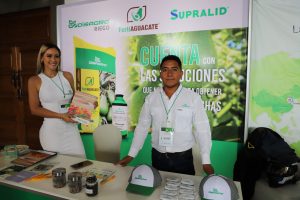 Stand aguacate.