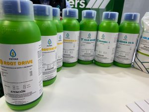 Productos del núcleo empresarial. 