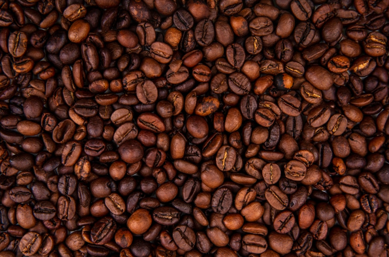 Empresarias degustan café guatemalteco.