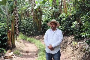 AL-INVEST Verde.