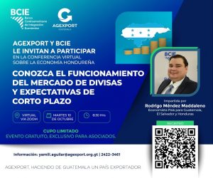 Conferencia virtual. 