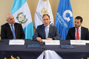 Firma GAE - AGEXPORT.