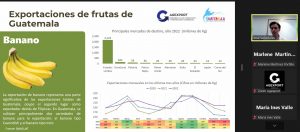 Webinar acerca de frutas, tendencias y exportación. 