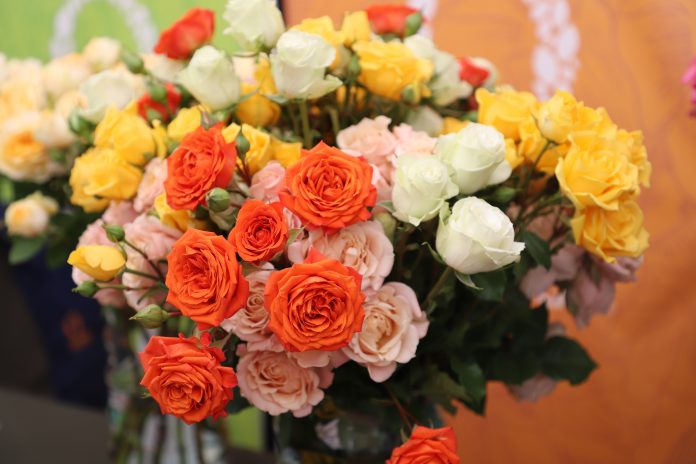 Comisión de Plantas Ornamentales, Follajes y Flores de AGEXPORT