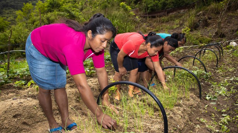 AGEXPORT y Unión Europea impulsan la resiliencia empresarial en Guatemala 