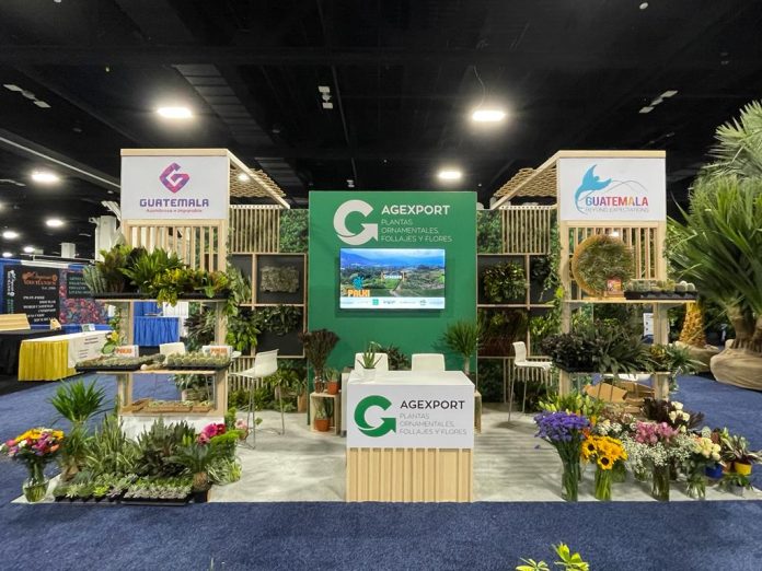 Empresas participan en la Tropical Plant International Expo (TPIE).