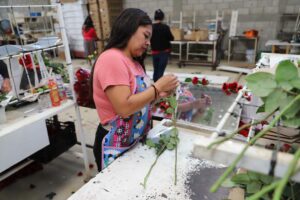 Plantas y el Día del Cariño