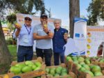 Festival de Mango y la contribución del Proyecto Empleabilidad, Emprendimiento y Empresarialidad de la Unión Europea