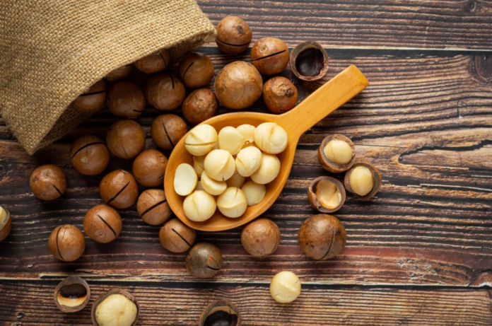 Macadamia