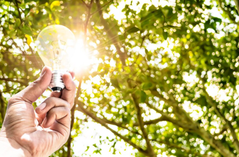 Eficiencia energética: Utiliza de manera inteligente tus recursos 