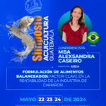 Alexsandra Caseiro