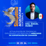 Angel Rubio