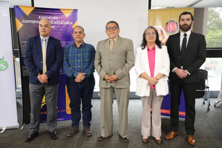 Productores de macadamia se unen para promover una producción competitiva