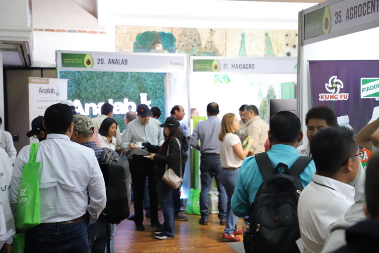 IV Congreso Nacional de Aguacate se realizará en pocas semanas 