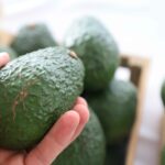 Aguacate