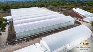 Polyproductos.