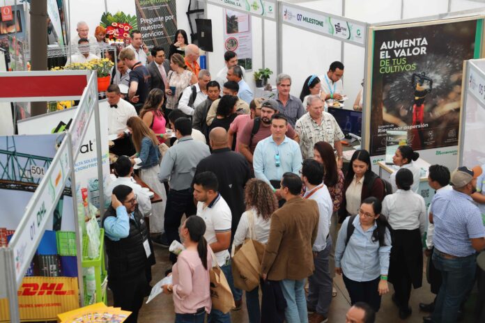 Piso de exhibición.