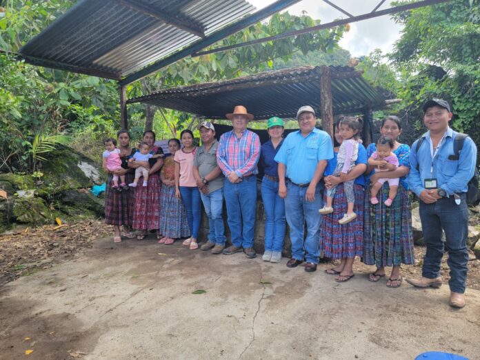 Proyecto para la mejora de la producción de cardamomo en Guatemala.