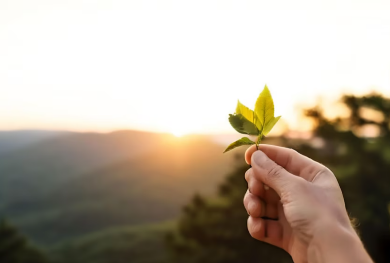 Día Mundial del Medio Ambiente 2025: un llamado al sector exportador guatemalteco para acelerar la sostenibilidad