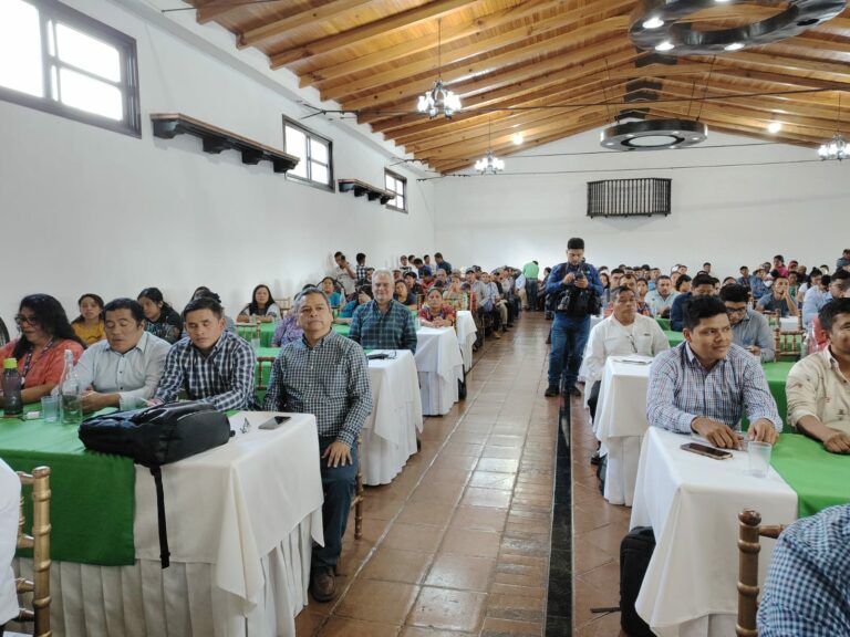 AGEXPORT y ADECAR se unen al Gobierno en la Mesa Técnica de Cardamomo de Alta Verapaz