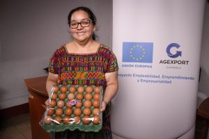 Programa Trabajo Decente.