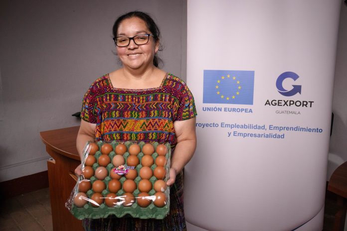Programa Trabajo Decente.