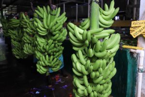 Latinoamérica exportó 33,518 millones de dólares en frutas en 2024, representando el 23% del comercio global.