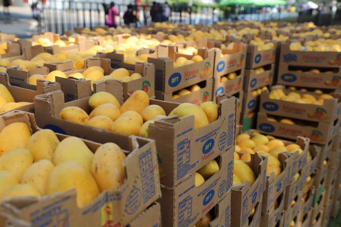 Latinoamérica exportó 33,518 millones de dólares en frutas en 2024, representando el 23% del comercio global.
