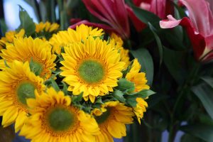 Guatemala florece en mayo: Sector de Plantas Ornamentales, Follajes y Flores genera 60,000 empleos y prevé alza del 10% en exportaciones
