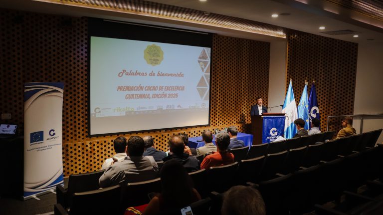 Cacao guatemalteco rumbo al Cacao of Excellence en Roma