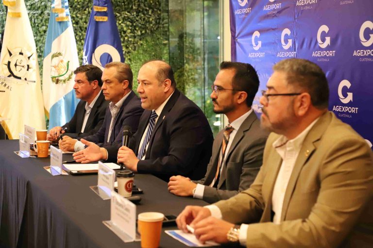 Nuevo golpe a la competitividad: Algunas navieras incrementan costos en el Puerto Santo Tomás de Castilla