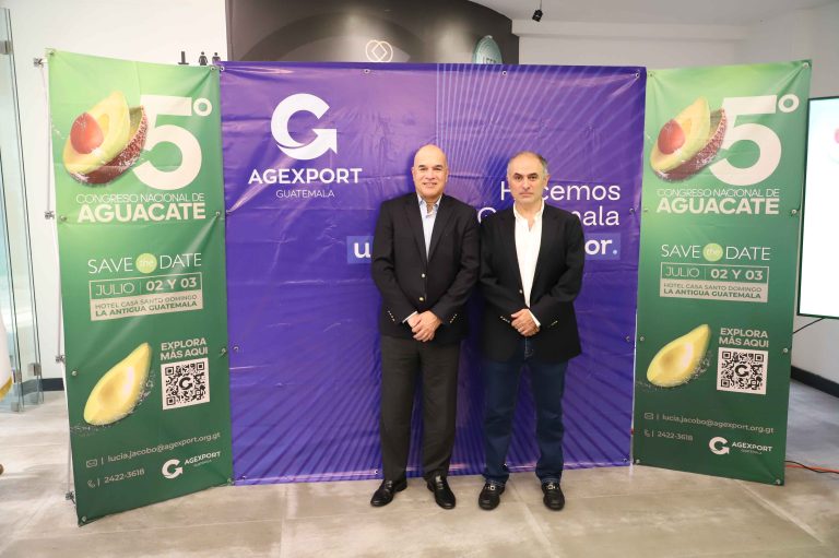 Aguacate, la fruta de exportación que se ha convertido en un proyecto país en Guatemala