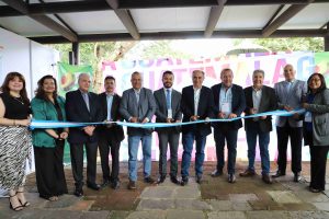 Guatemala se prepara para incorporar al aguacate a nuevos mercados internacionales