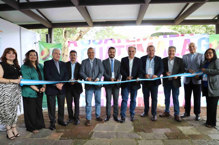 Guatemala se prepara para incorporar al aguacate a nuevos mercados internacionales