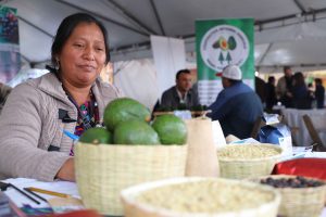 Agroencuentro reunirá a más de 60 actores del sector agrícola en Chimaltenango
