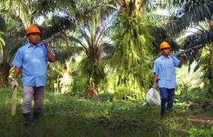 Grupo Hame/Olmeca: Finalista del Galardón Nacional a la Exportación