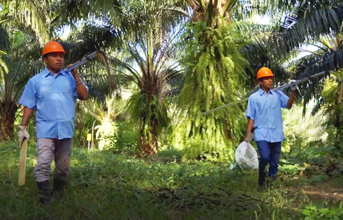 Grupo Hame/Olmeca: Finalista del Galardón Nacional a la Exportación