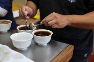Buena Tierra, S.A.: Finalista del Galardón Nacional a la Exportación