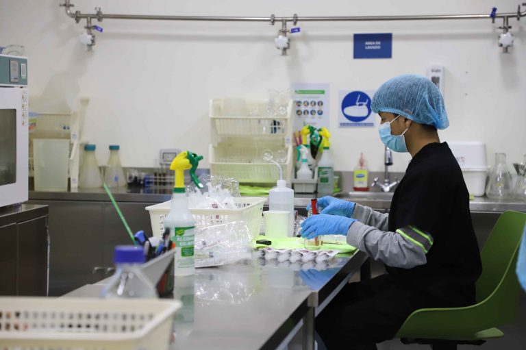 Agroindustrias Successo: Finalista del Galardón Nacional a la Exportación