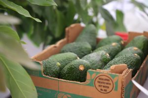 Productores agrícolas se preparan para el segundo Agroencuentro 2025